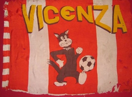 Vicenza gatto